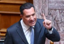 Γεωργιάδης: «Προσωπική» άποψη για την οπλοκατοχή – «Η τραγωδία έγινε από παράνομα όπλα»