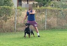 Δολοφονία Λάλα: Πώς έγιναν οι 4 συλλήψεις – Επιδρομή του FBI σε Θεσσαλονίκη και Καβάλα