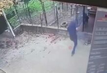 Καλαμάτα: Τι λέει ο γιος του 76χρονου για την επίθεση του ροτβάιλερ – «Ήταν μια κακή στιγμή»