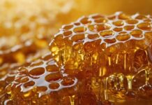 Το «τρελό μέλι» που έκανε έναν ολόκληρο στρατό να χάσει τα λογικά του