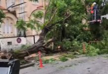 Ανεμοθύελλα σάρωσε την Πάτρα – Τσακισμένα δέντρα, σπασμένες τζαμαρίες