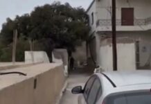 Σύλληψη δεύτερου ατόμου για το μακελειό στα Βορίζια