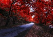 Ο μαγευτικός φθινοπωρινός προορισμός στην Ελλάδα