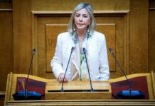 Δεκτή η άρση ασυλίας της Ζέττας Μακρή