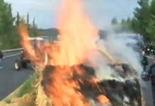 Νέο αγροτικό μπλόκο στις Μικροθήβες: Έχυσαν γάλατα, έκαψαν άχυρα και έκλεισαν την Εθνική Οδό