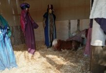 Βόλος: Αντιδράσεις για ζωντανό πόνι στη φάτνη