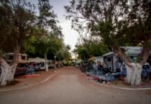 Φοινικούντα: Η προφητική κατάθεση που ξεσκέπαζε τον ανιψιό – «Ο θείος φοβόταν ότι θα του πάρει την περιουσία»