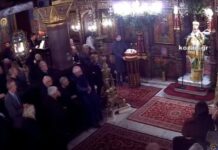 Μητροπολίτης Κοζάνης: «Κοπέλα ημίγυμνη, μεθυσμένη, δεν έχει πατέρα;» – Επίθεση και στον κόσμο με κατοικίδια