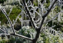 Παγετός και χαμηλές θερμοκρασίες σε ηπειρωτικές περιοχές