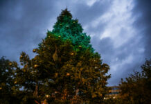 Καιρική ανατροπή τα Χριστούγεννα 2026