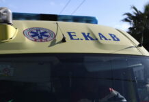 Τραγωδία στην Ελευσίνα: Νεκροί δύο ηλικιωμένοι και τα σκυλιά τους