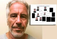 Αυτή ήταν η «αυλή» του Τζέφρι Έπσταϊν – Αποκαλυπτικό διάγραμμα με το «στενό κύκλο» των προσώπων