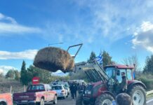 Κλιμάκωση κινητοποιήσεων από αγρότες και κτηνοτρόφους