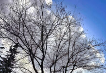 Ξεχάστε το κρύο: Μέχρι πότε θα είναι καλός ο καιρός τον Ιανουάριο