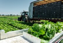 Μέτρο 23: Τι ισχύει για την πληρωμή και το καθεστώς ΦΠΑ