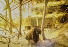 Τριμερής στο Αμπού Ντάμπι, βομβαρδισμοί στην Ουκρανία – «Μόνη λύση η παράδοση εδαφών»