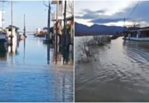 Λάρισα: Η θάλασσα βγήκε στη στεριά και «έπνιξε» σπίτια