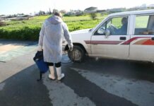 Συναγερμός στην Κύπρο – Σε καθολική καραντίνα η χώρα για τον αφθώδη πυρετό