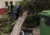 Ισχυροί άνεμοι «σάρωσαν» την Αττική – Δέντρα έπεσαν σε Καισαριανή, Νέα Σμύρνη, Περιστέρι