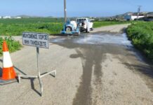 Ξέφυγε ο αφθώδης πυρετός στην Κύπρο – Συνολικά 41 οι μολυσμένες κτηνοτροφικές μονάδες