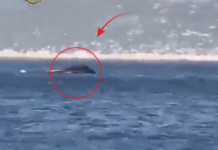 Βίντεο από το βυθισμένο σκάφος της Frontex στο Καστελόριζο