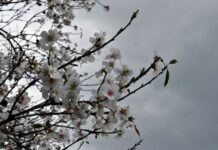 Ξαφνική «στροφή» του καιρού με πολύ κρύο και χιόνια