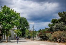 Ήπιος καιρός στην Αθήνα με άνοιξη και 18άρια